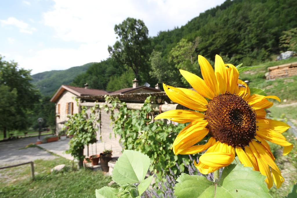 Agriturismo Cà Sonino Bettola  Exterior foto